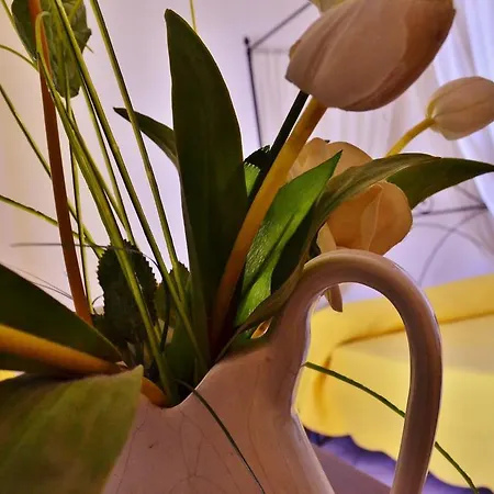Affittacamere La Torre Guest house 3*